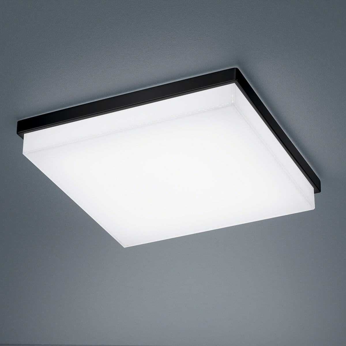 Helestra Cosi LED Deckenleuchte, mit Casambi-Modul, 31,5 x 31,5 cm, schwarz matt / Glas satiniert