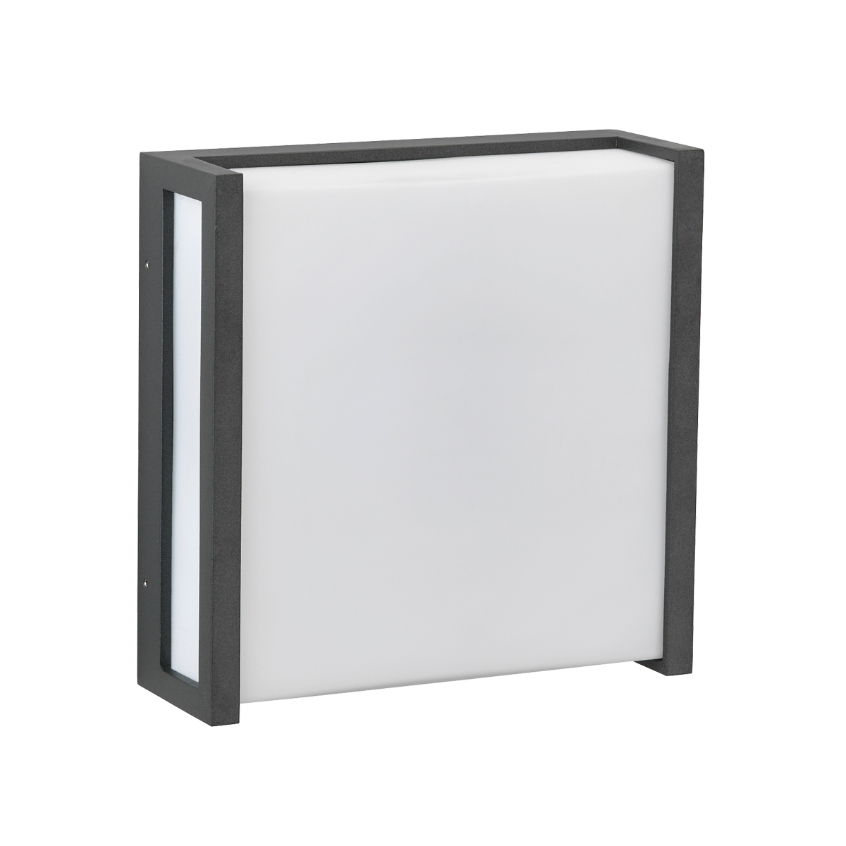 Albert Leuchten 6401 Wand- / Deckenleuchte, anthrazit