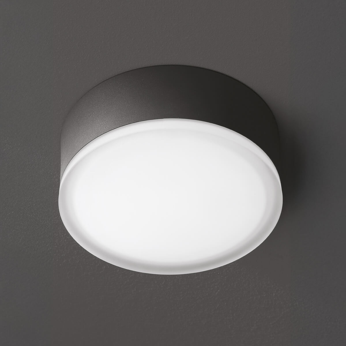 1420/1421 LED Wand- / Deckenleuchte