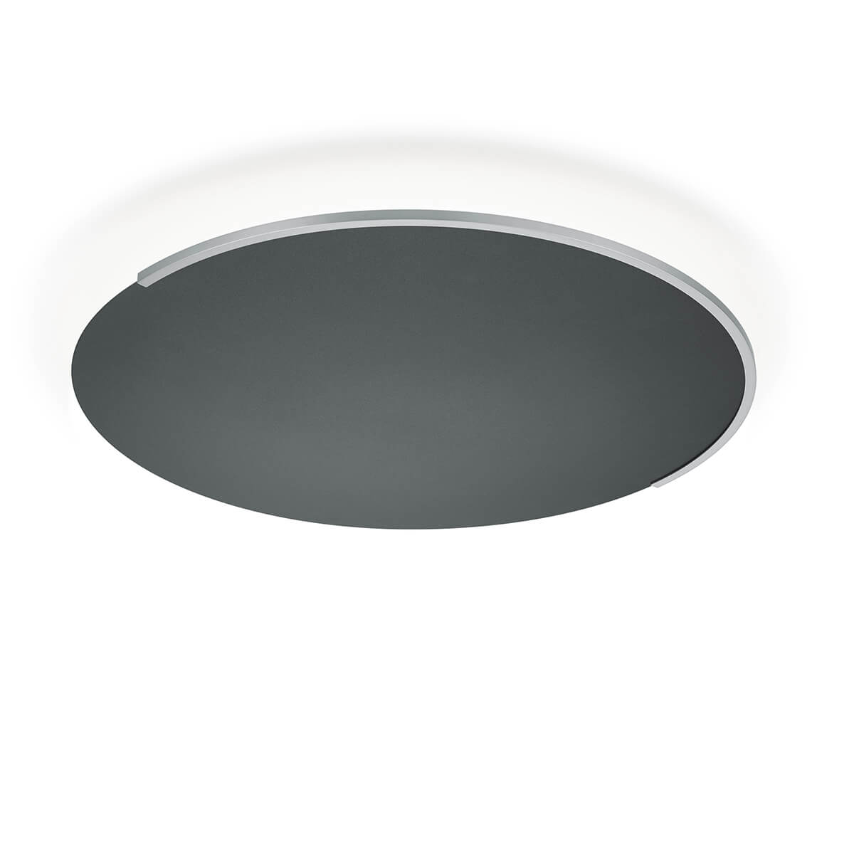 Knapstein Astra-C-60 LED Wand- / Deckenleuchte, mit Casambi, schwarz metallic / mattnickel