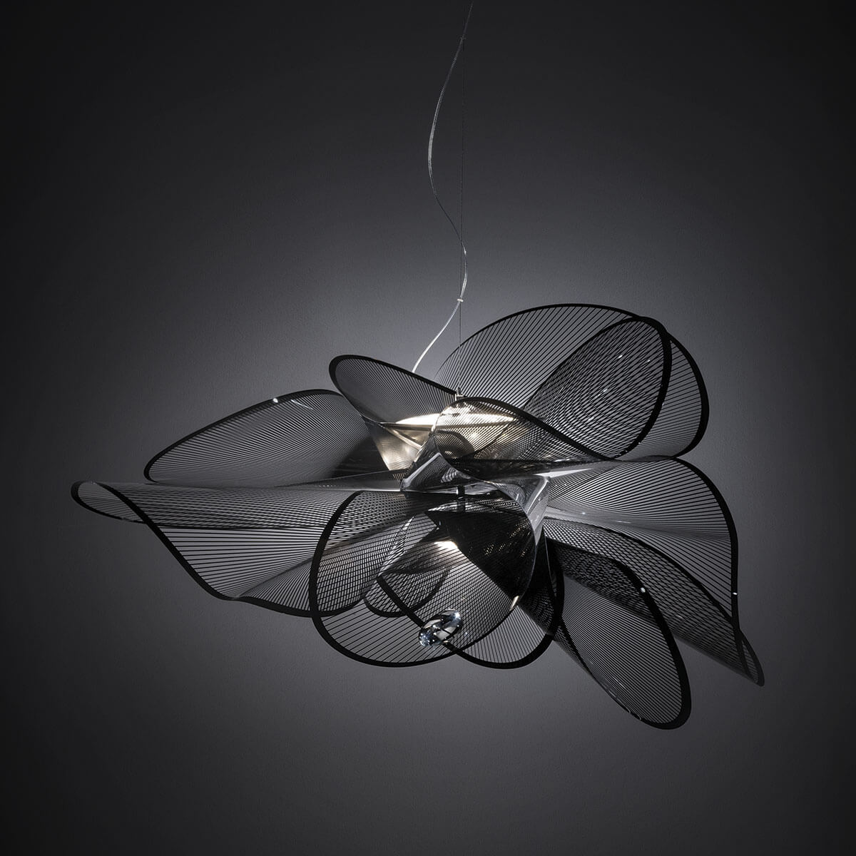 Slamp La Belle Étoile LED Suspension, medium, Ø: 73 cm, black (schwarz)
