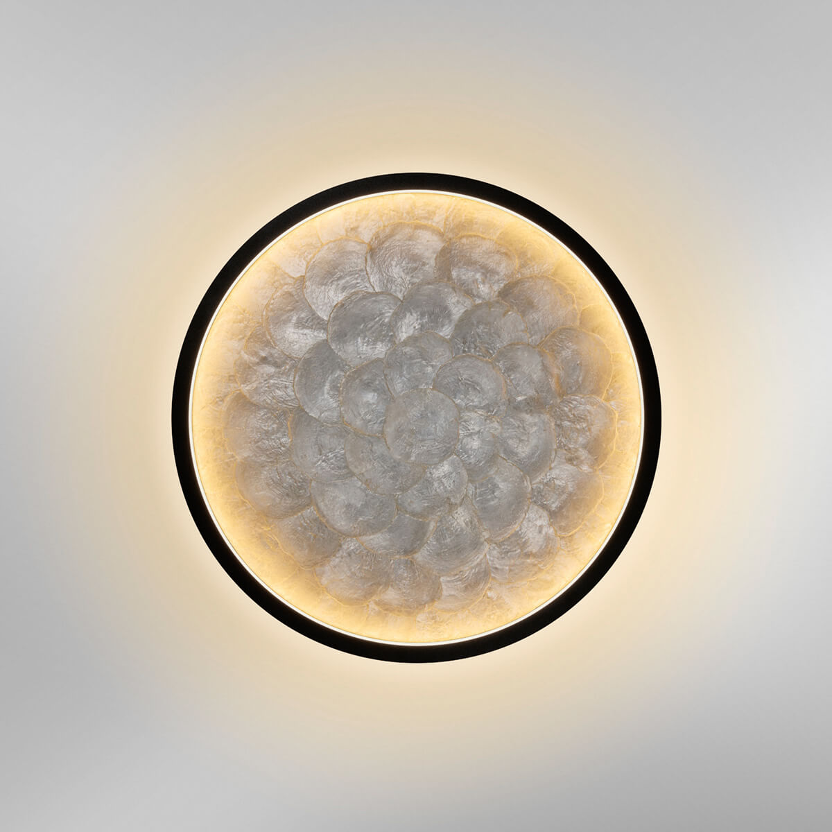 Shell LED Wand- / Deckenleuchte