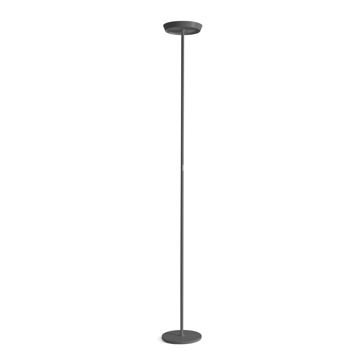 Rotaliana Prince F1 LED Stehleuchte, graphit