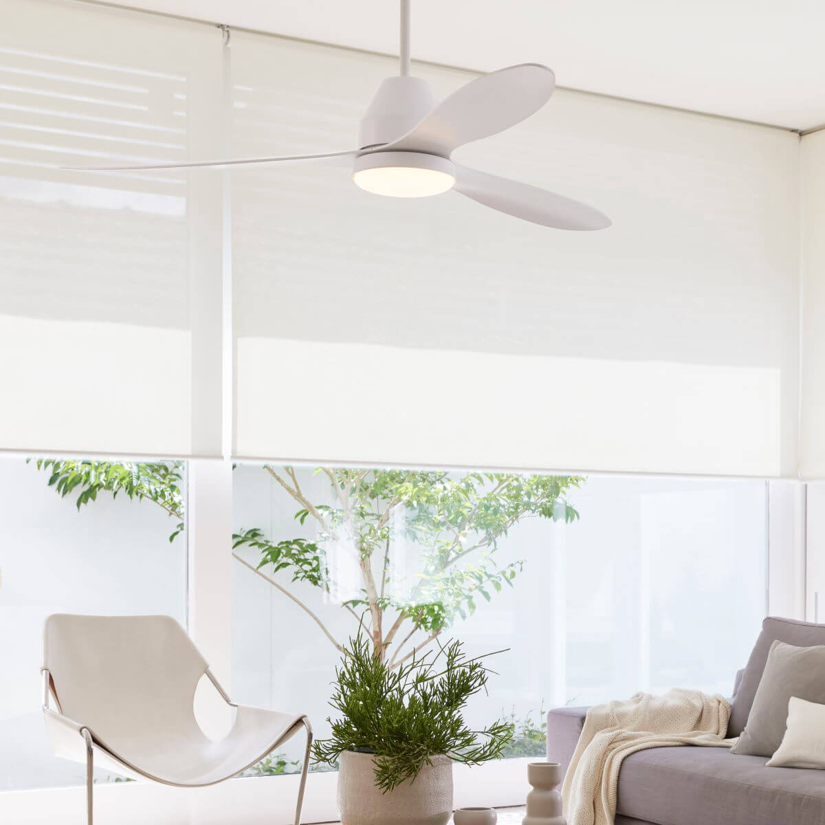 Whitehaven Deckenventilator mit Licht