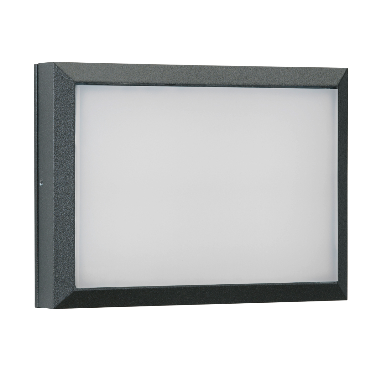 Albert Leuchten 6403 Wand- / Deckenleuchte, anthrazit