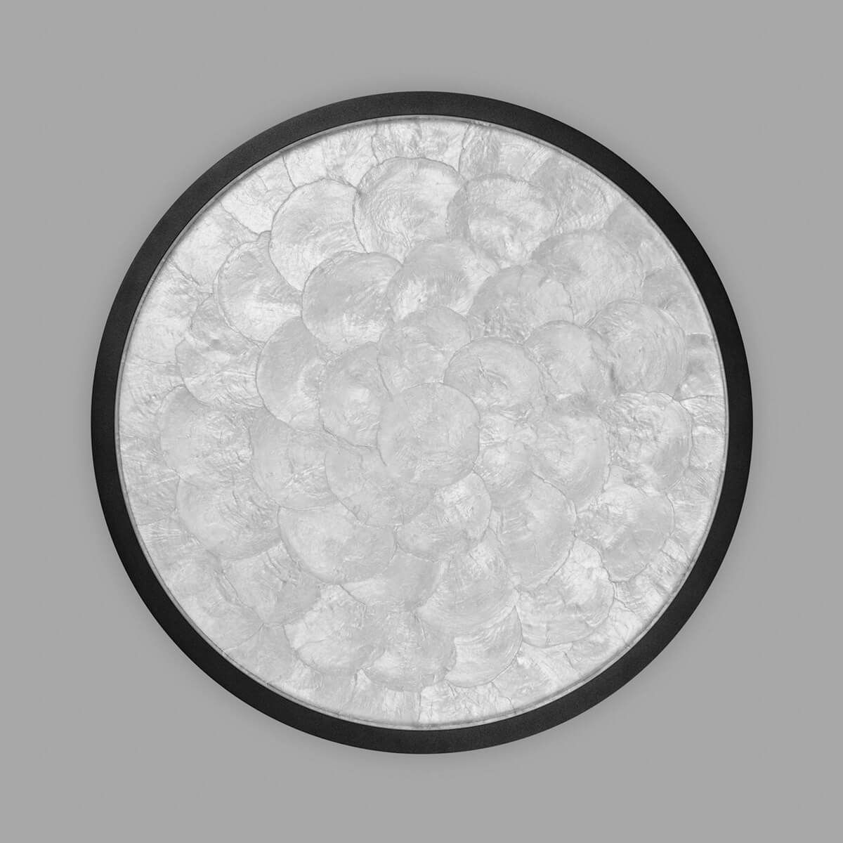 Shell LED Wand- / Deckenleuchte