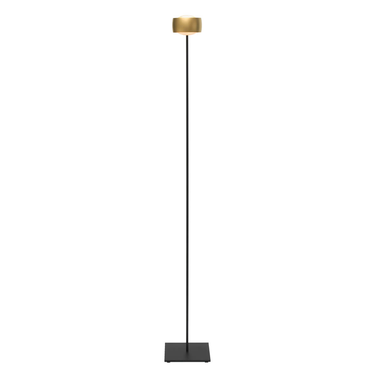 Oligo Grace LED Stehleuchte, Tunable White, schwarz matt / Gold matt