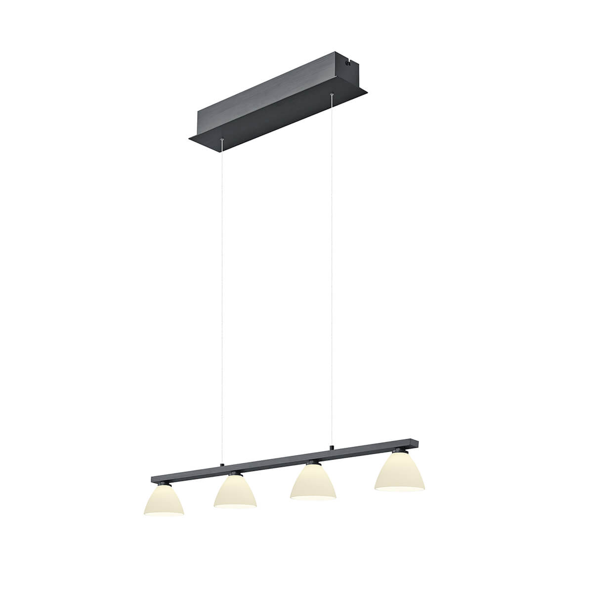 HELL Mona 20570 LED Pendelleuchte, schwarz
