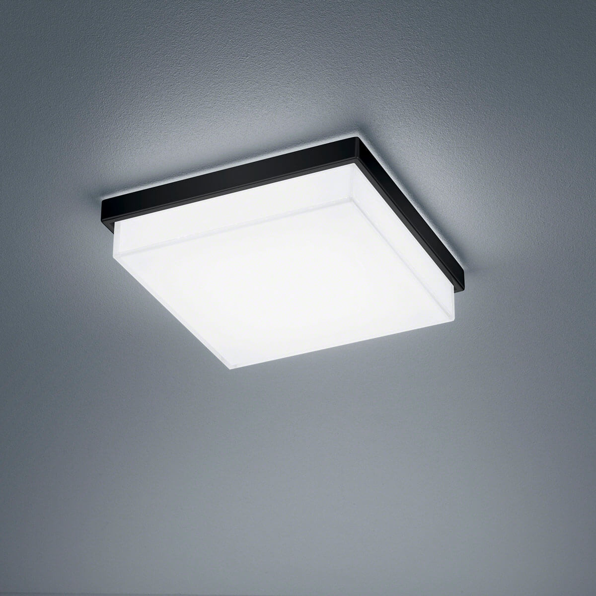 Helestra Cosi LED Deckenleuchte, mit Casambi-Modul, 21 x 21 cm, schwarz matt / Glas satiniert