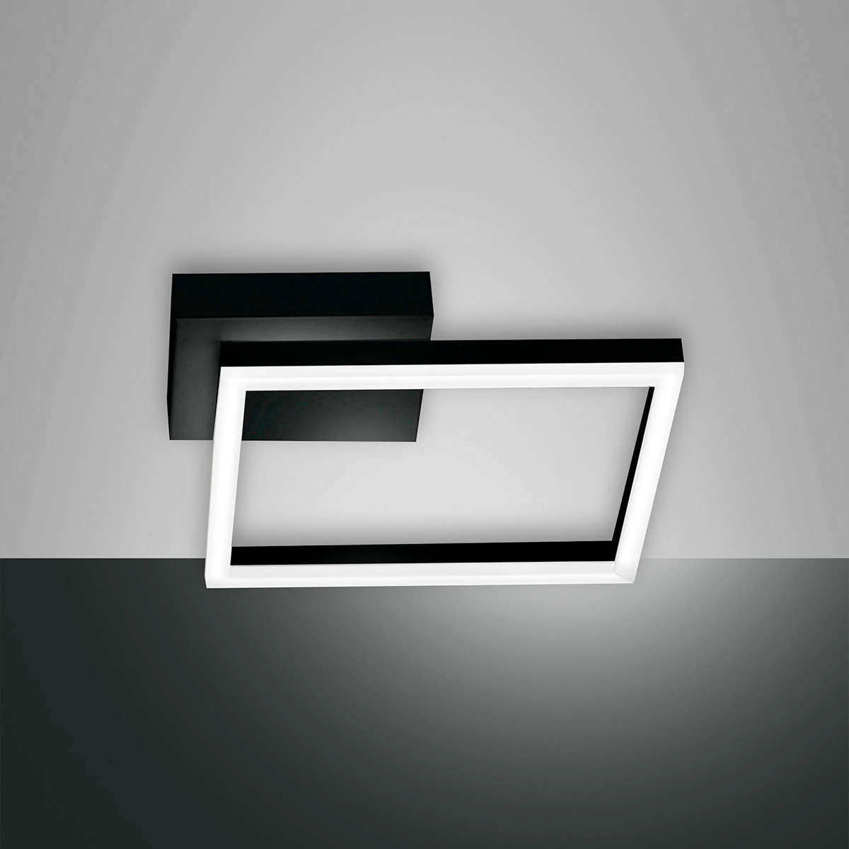 Fabas Luce Bard 3394-21 LED Wand- / Deckenleuchte, schwarz