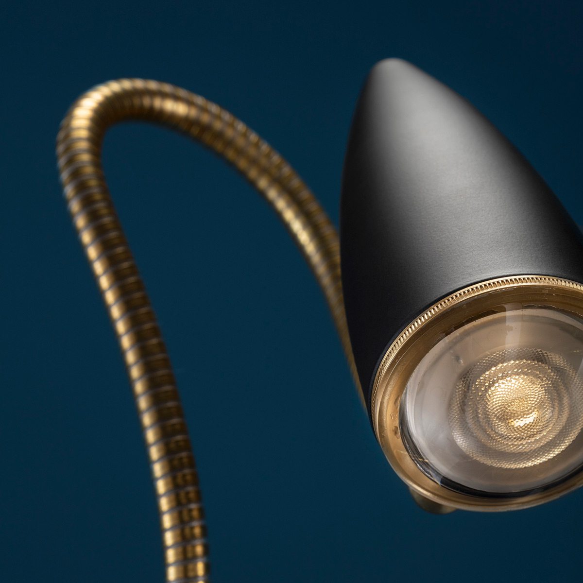 Catellani & Smith CicloItalia Flex F3 Stehleuchte, schwarz / Messing (Foto: Nava-Rapacchietta)