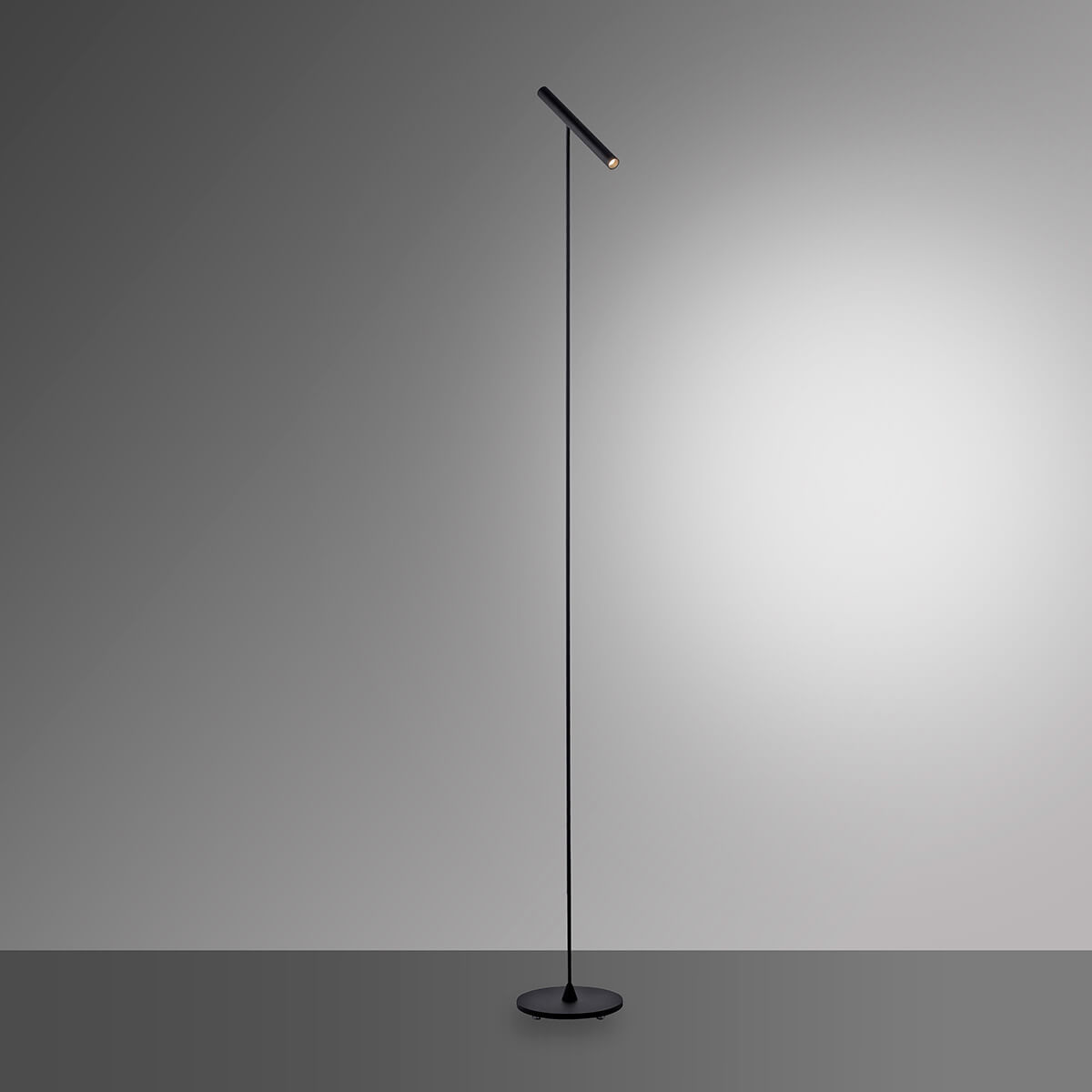 Neuhaus Pure Tutua LED Stehleuchte, schwarz