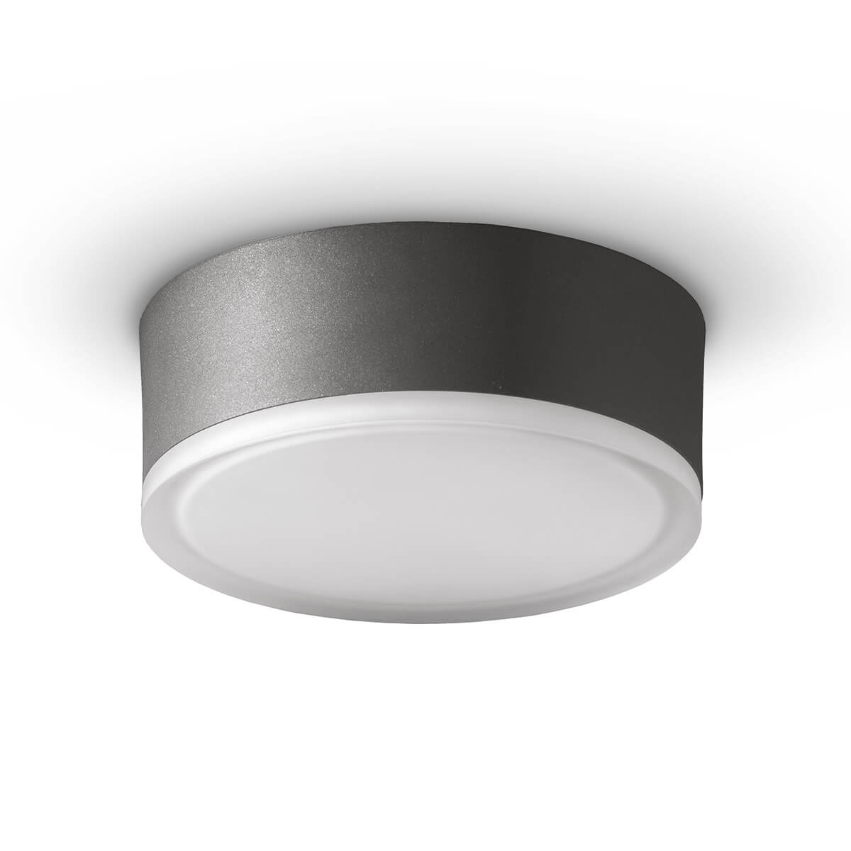 LCD Außenleuchten 1420/1421 LED Wand- / Deckenleuchte Ø: 20,5 cm, graphit