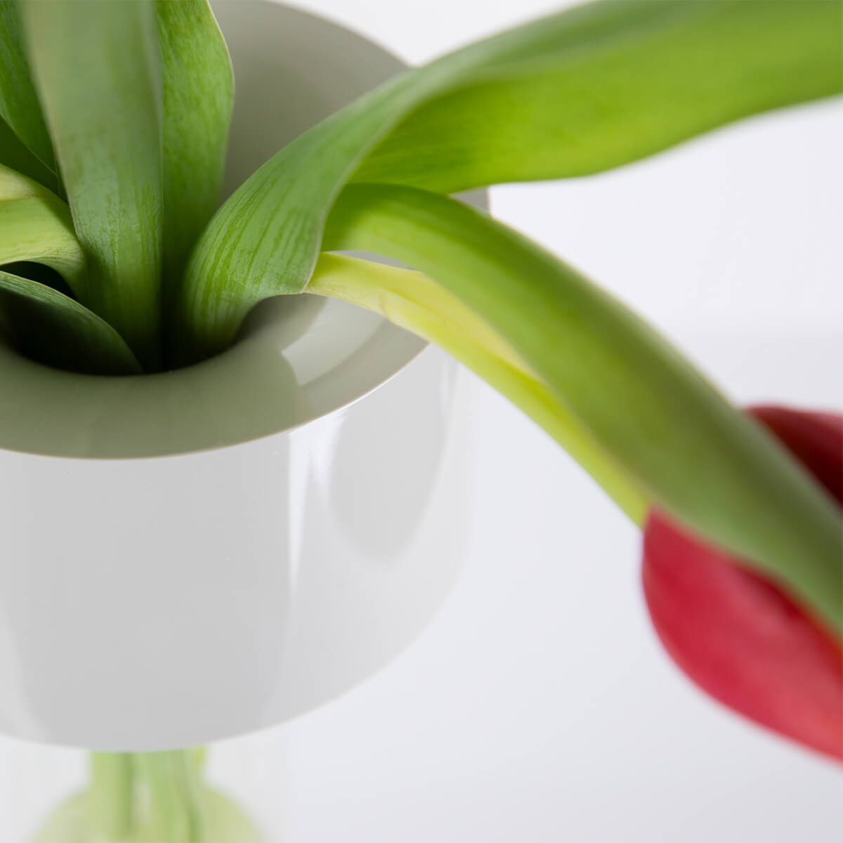 Foscarini Fleur LED Tavolo Akkuleuchte & Vase, bianco (weiß) (©Leuchtenland.com)