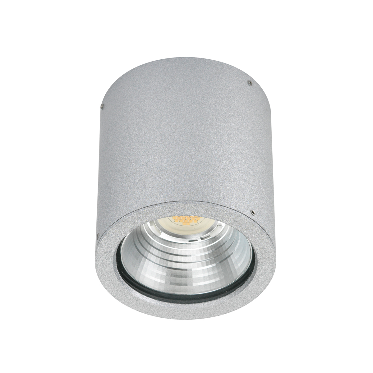 Albert Leuchten 2380 Deckenstrahler, Silber