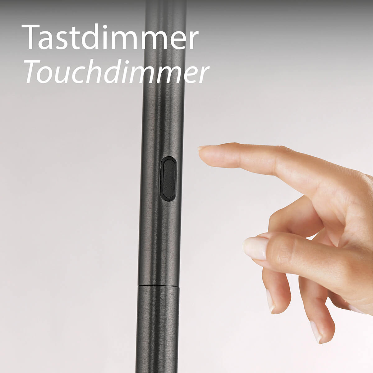 Neuhaus PURE Vitrum LED Stehleuchte, mit Touchdimmer