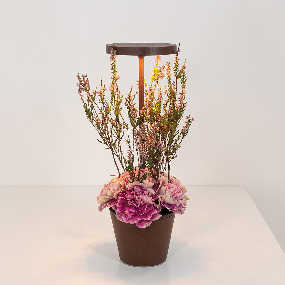 Zafferano AiLati Poldina Reverso Pro LED Akkuleuchte, Corten (Dekoration nicht inbegriffen)