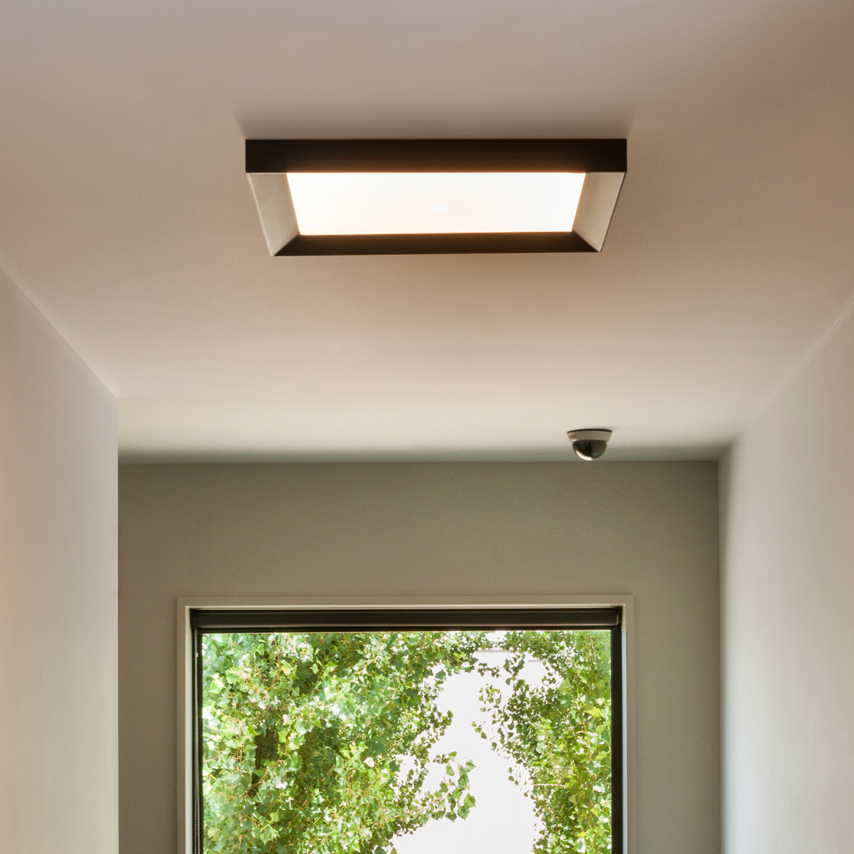 Vibia Up 4454 Deckenleuchte, graphitgrau matt