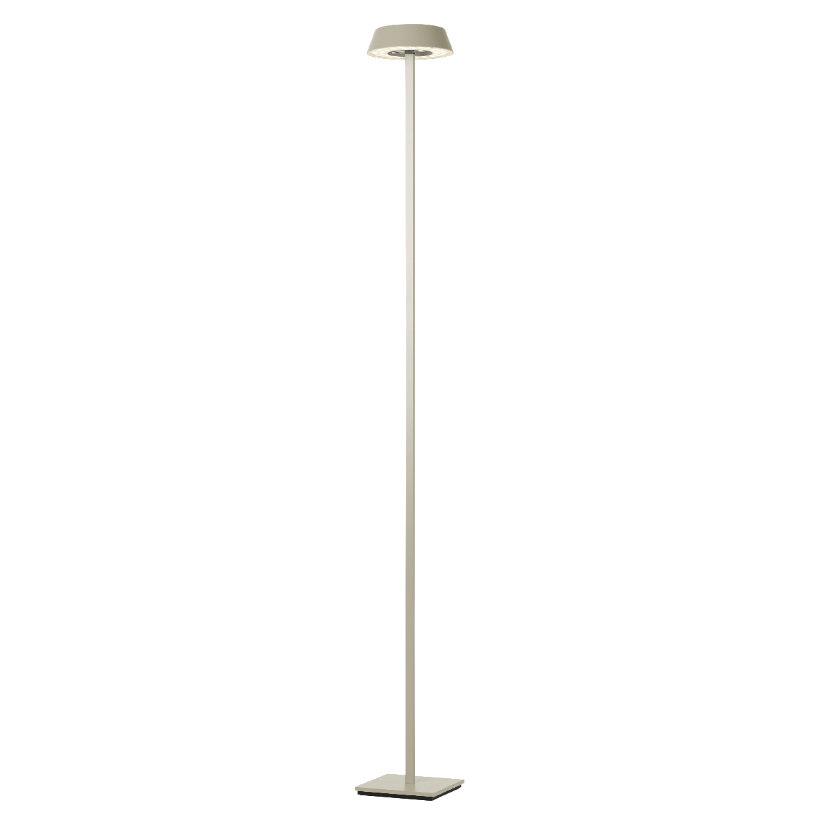 Oligo Glance LED Stehleuchte, gerade, cashmere