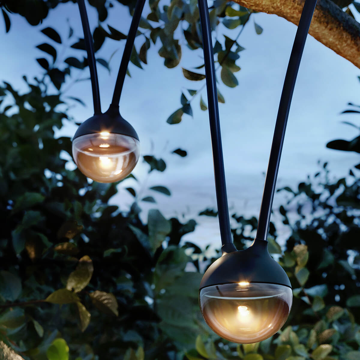 IP44.DE Cherry bubbls LED Akku-Lichterkette, black (schwarz)