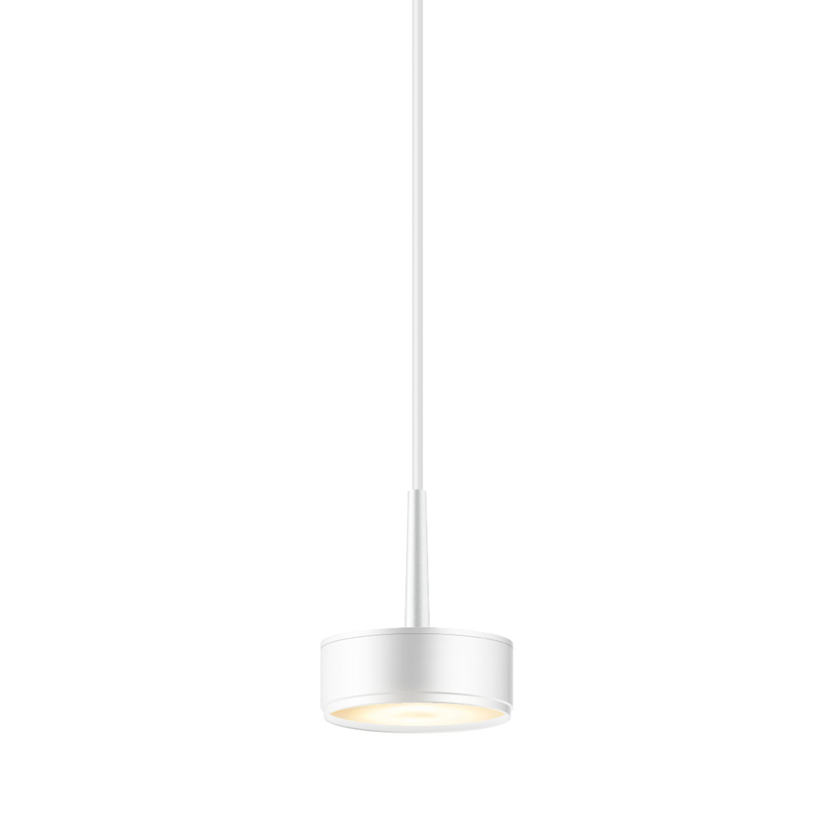 Bruck Duolare Tuto II DLR LED Pendel, weiß