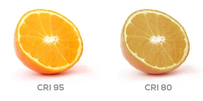 CRI-400x200.webp?ts=1784205400