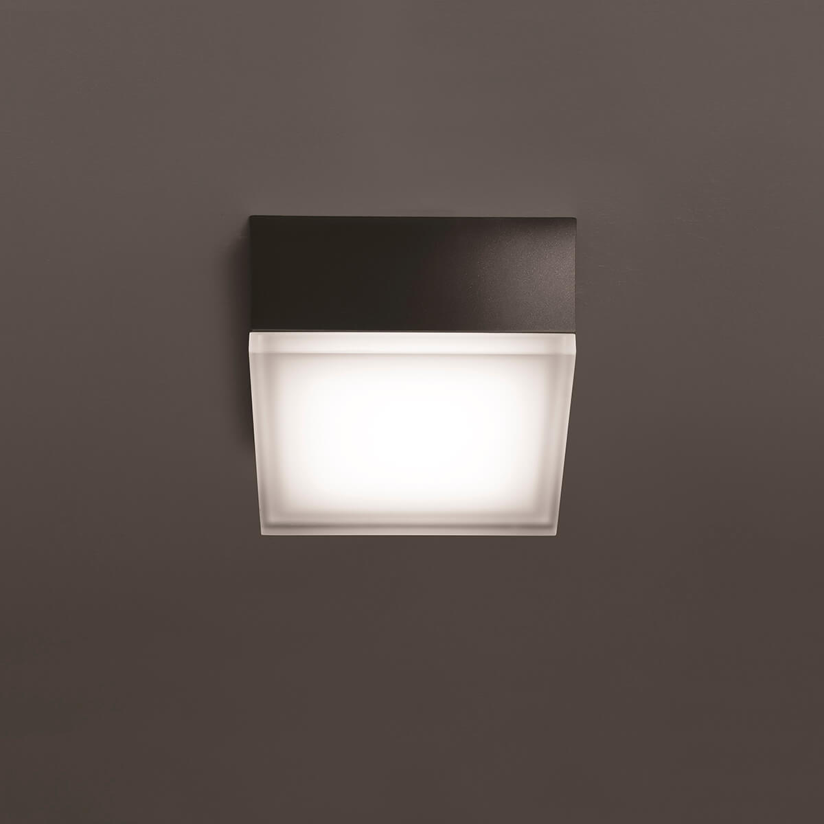 1425/1426 LED Wand- / Deckenleuchte