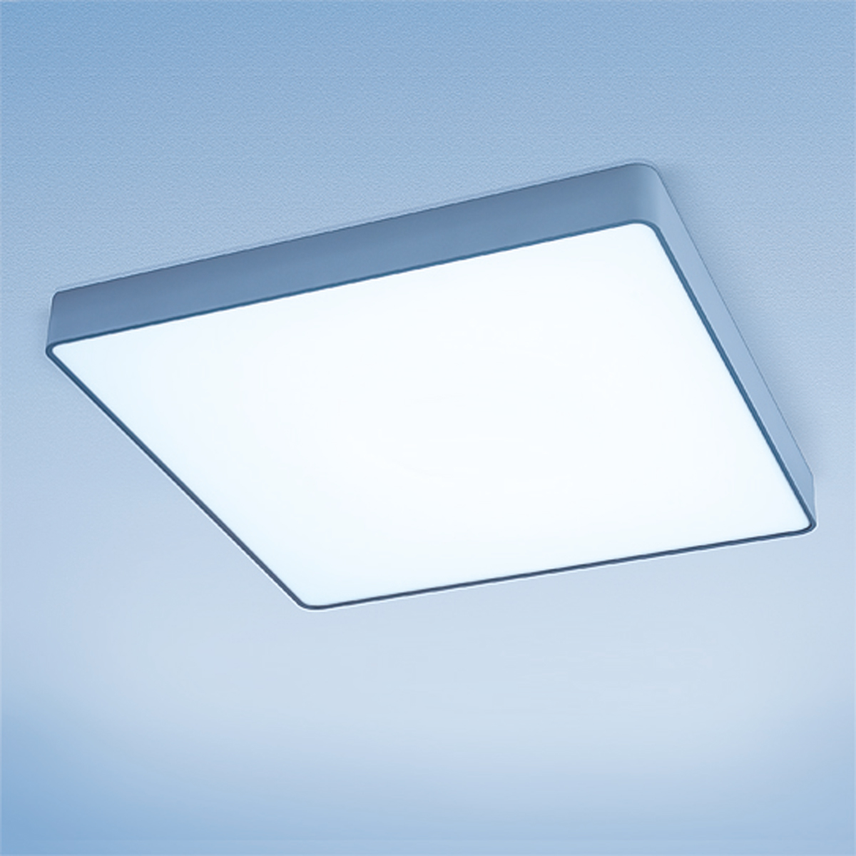 Lightnet Caleo-A2 Wand- / Deckenleuchte, Opal, Silber matt