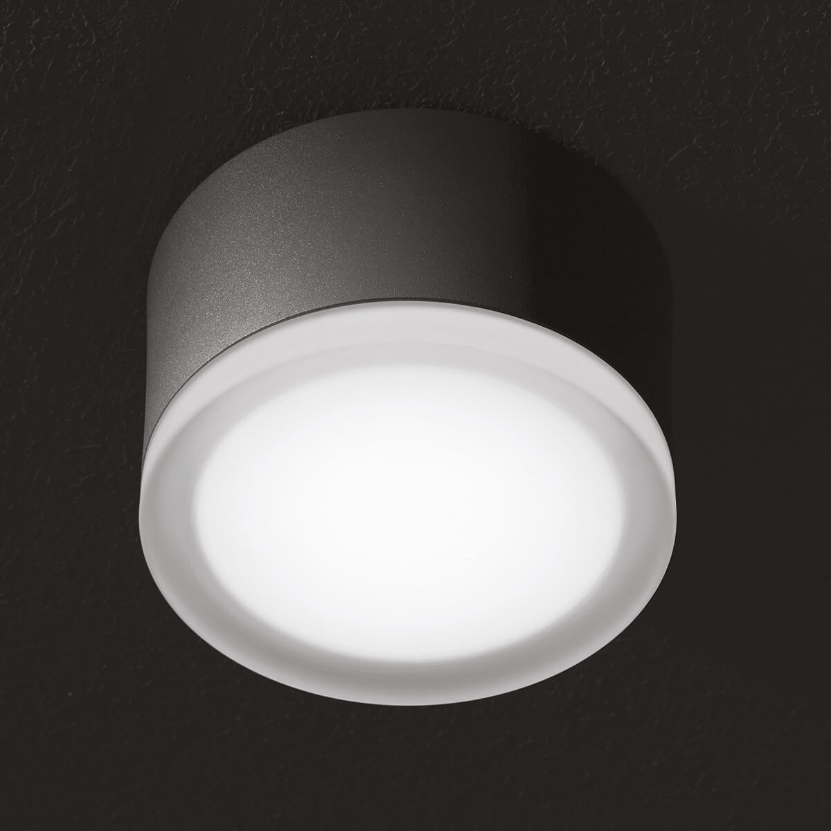 1420/1421 LED Wand- / Deckenleuchte