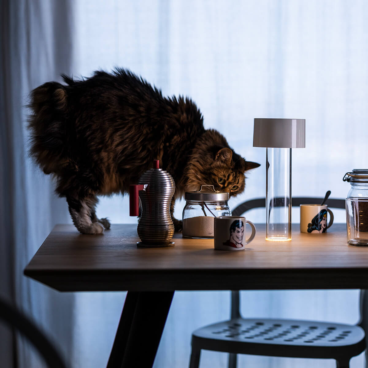 Foscarini Fleur LED Tavolo Akkuleuchte & Vase, bianco (weiß)