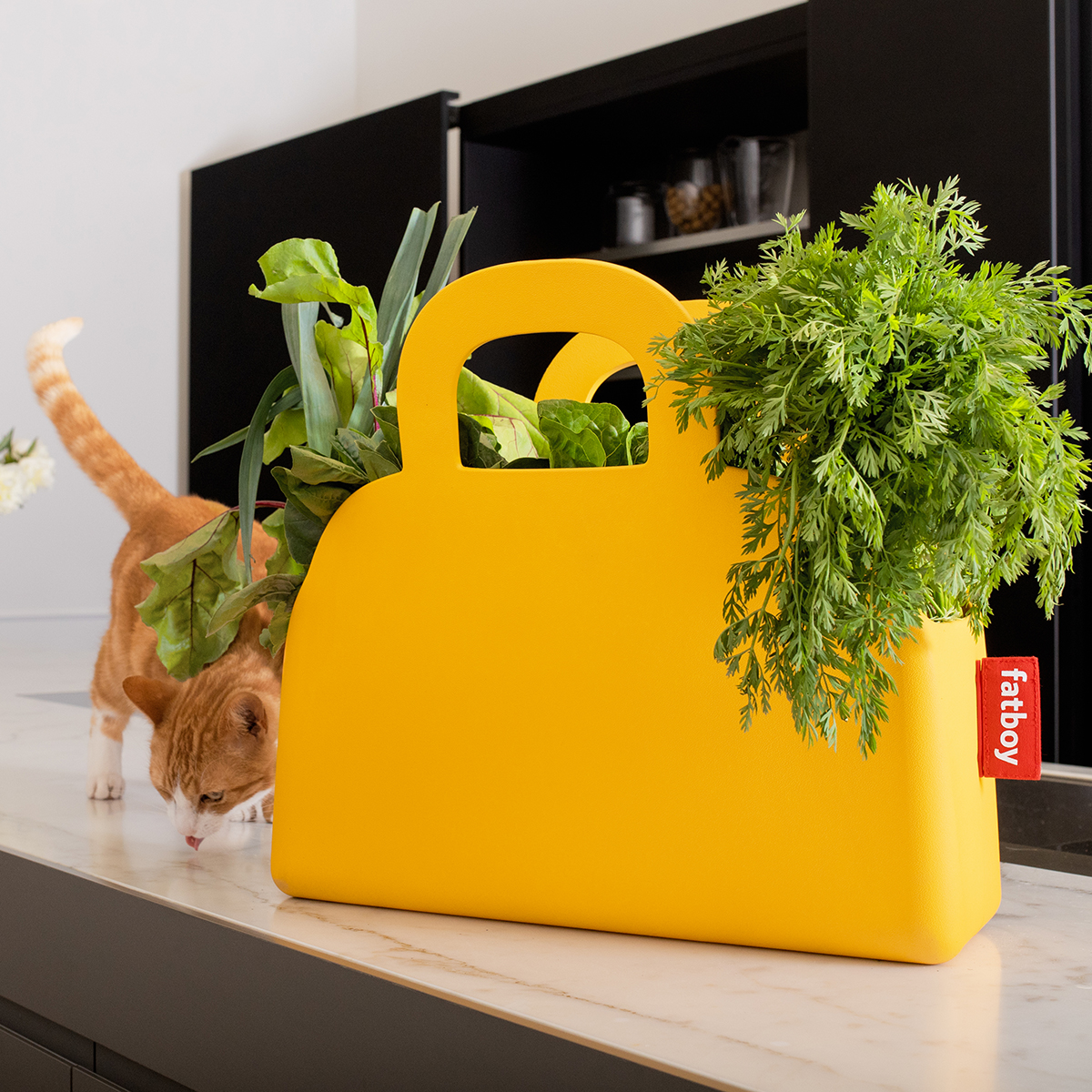 Sjopper-Kees Tasche