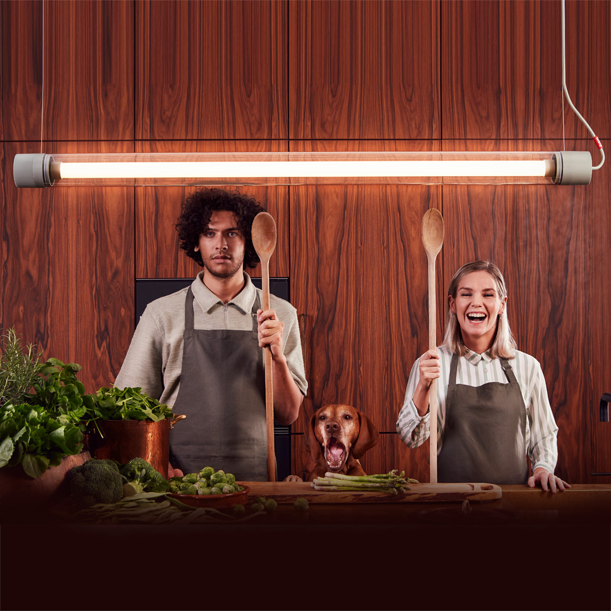 Tjoep Large LED Wand- / Pendelleuchte