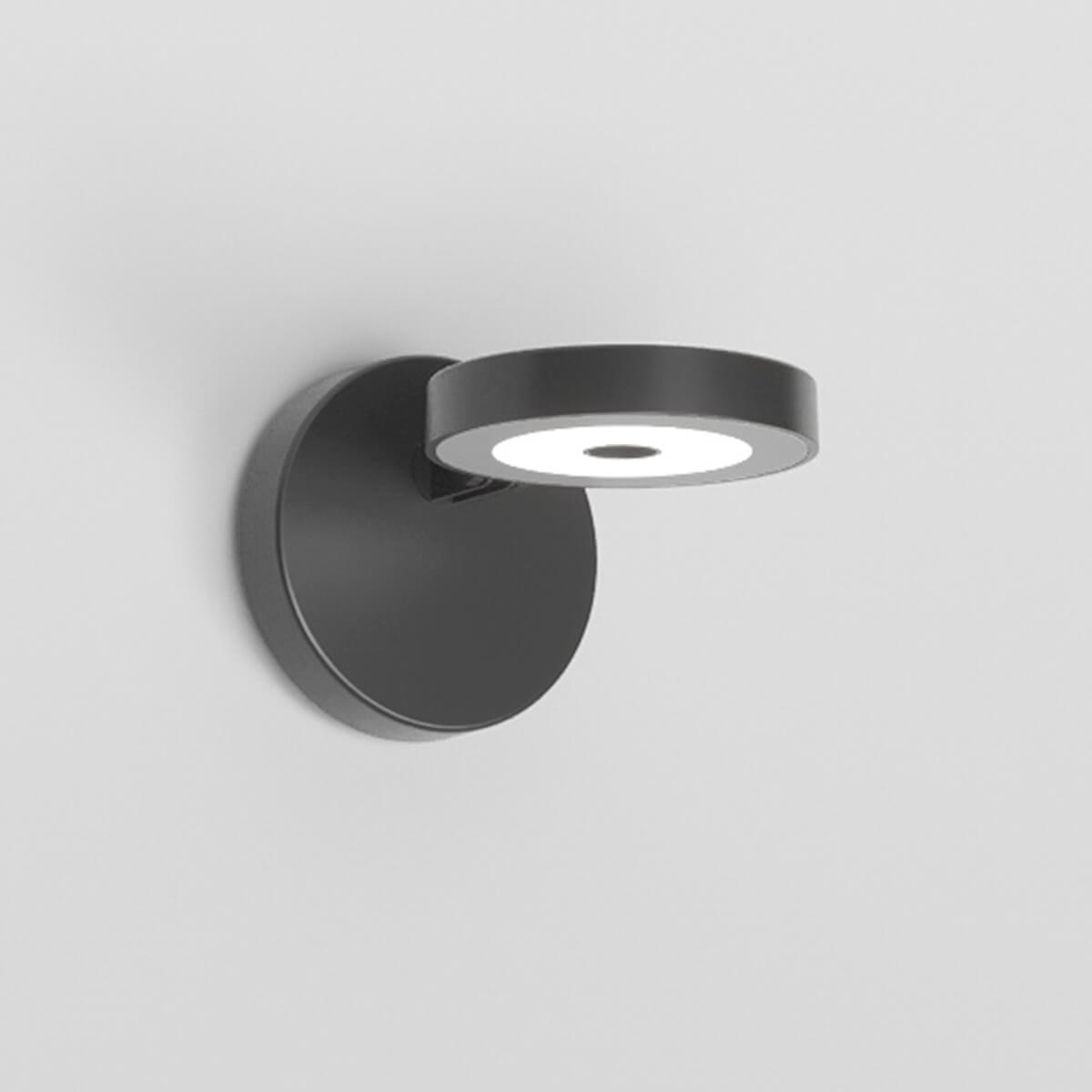 graphite