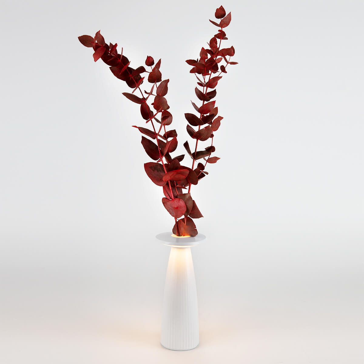Sigor Nuflair LED Akkuleuchte & Vase, schneeweiß (©Leuchtenland.com)