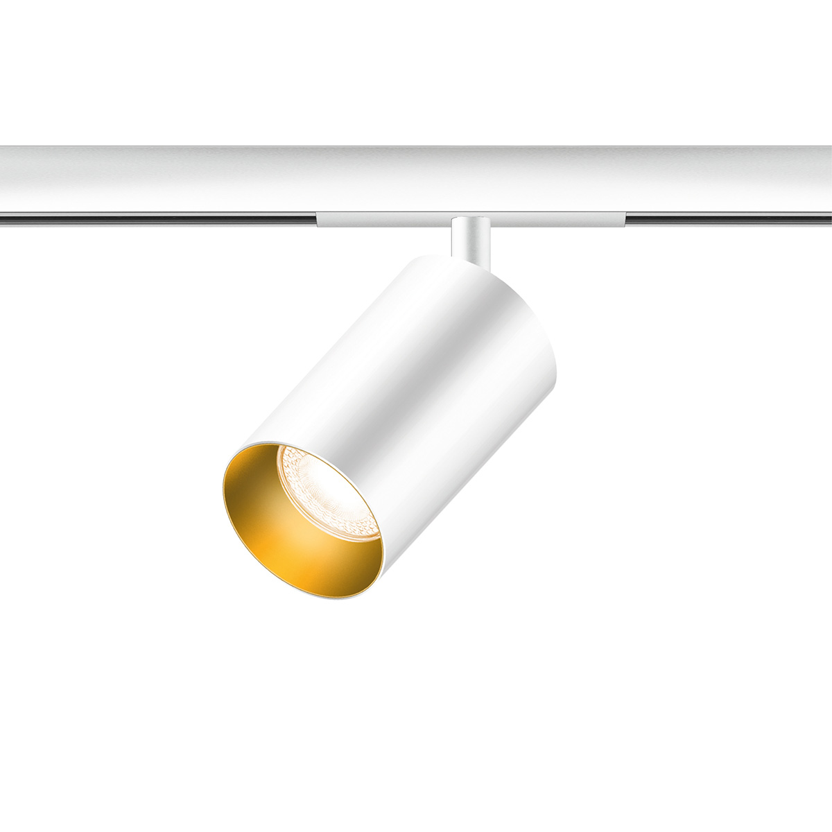 weiß / Gold