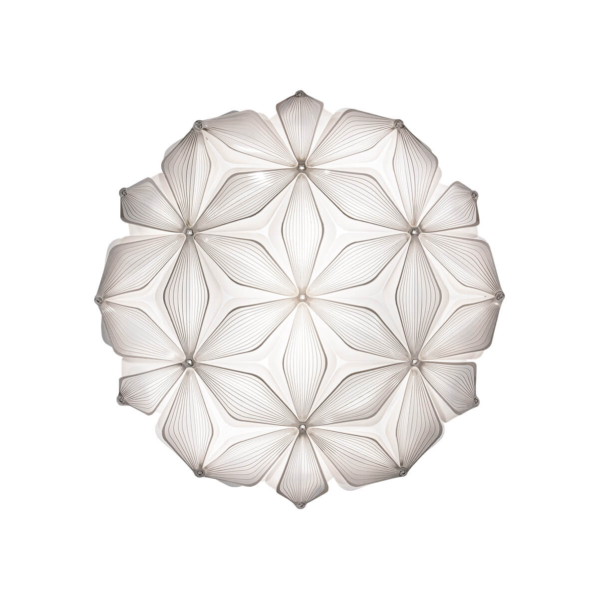 C’est La Vie Ceiling / Wall Medium