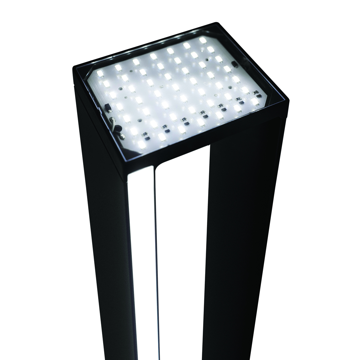 Nemo Tru Terra, schwarz