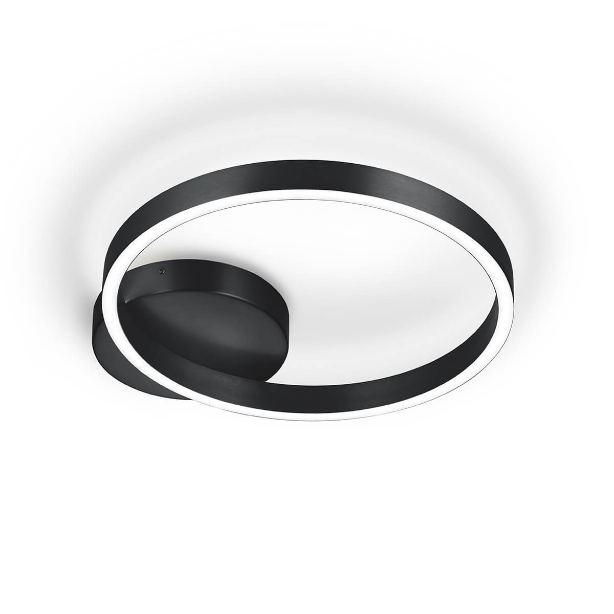 Knapstein Anel-40 LED Deckenleuchte, schwarz
