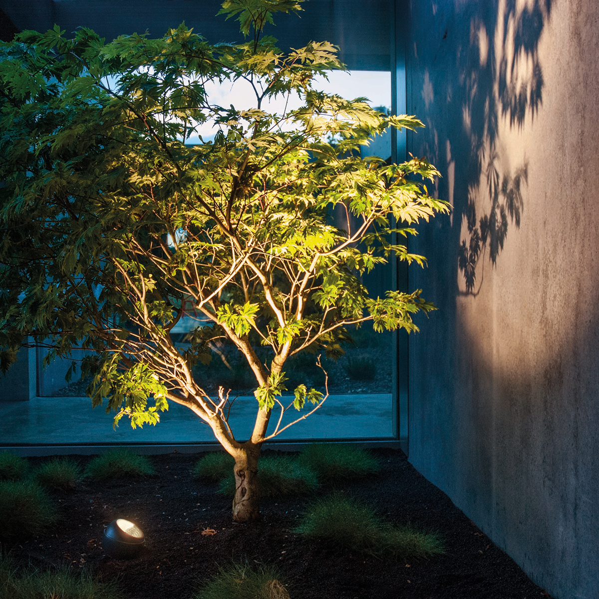 IP44.DE Shot LED Boden- / Außenleuchte, anthracite (anthrazit)