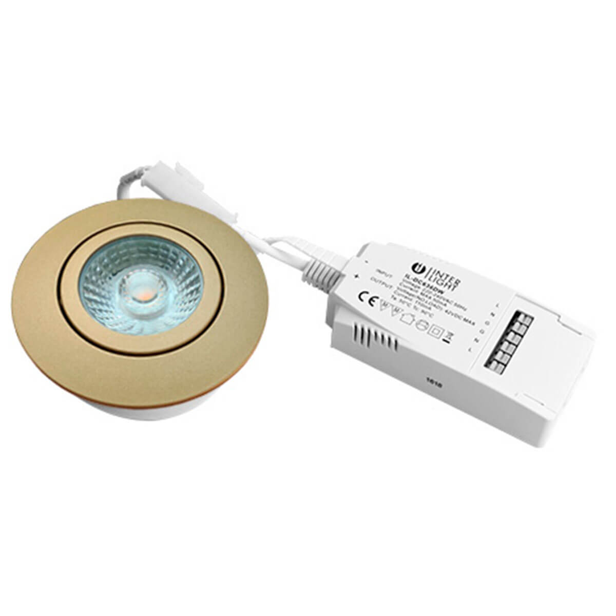 Interlight Camita Downlight IP44 LED Einbaustrahler, Gold matt