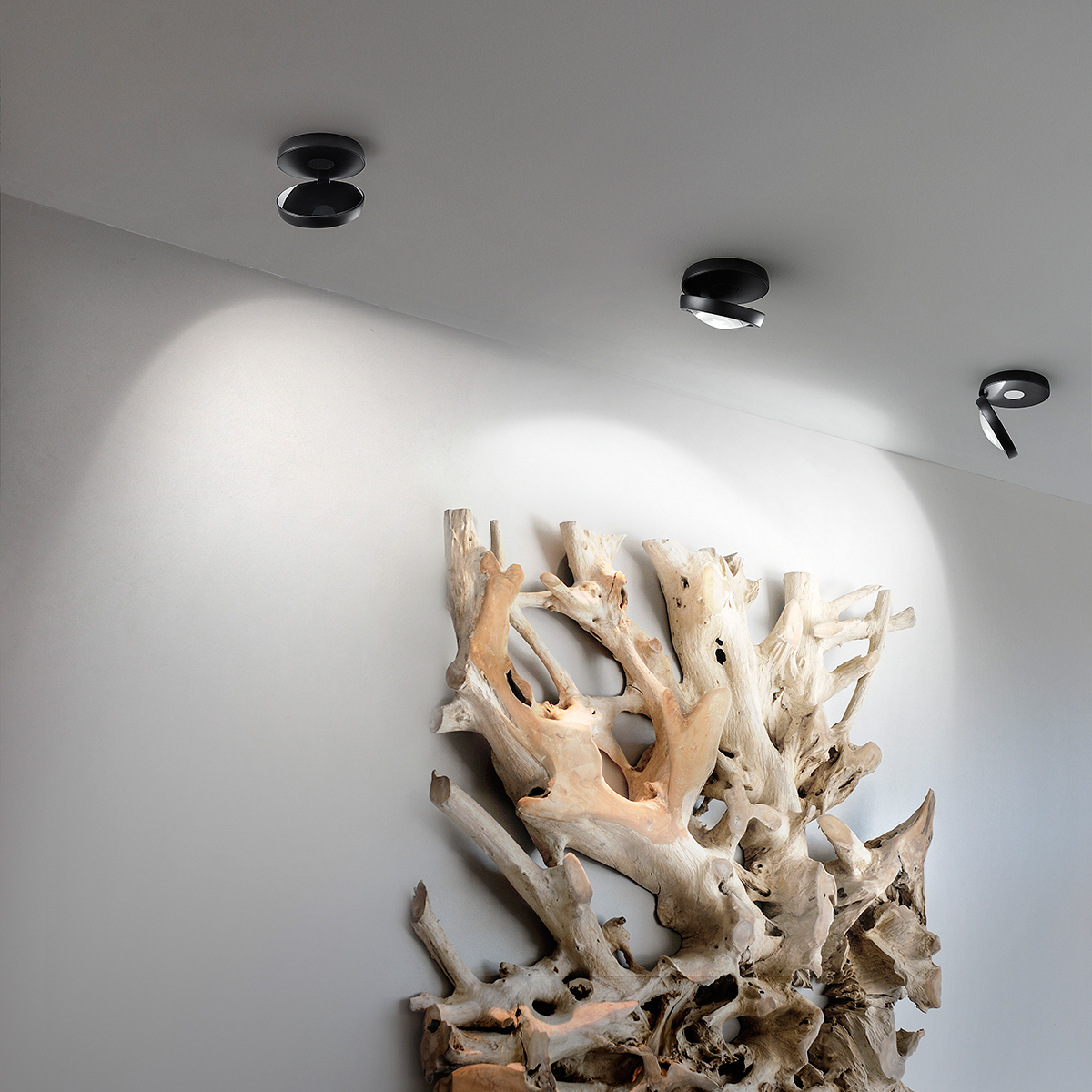 Lodes Nautilus LED Deckenleuchte, schwarz matt