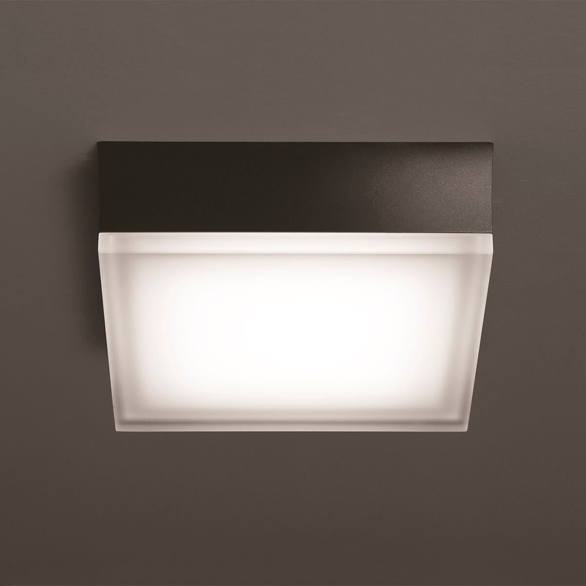 1425/1426 LED Wand- / Deckenleuchte