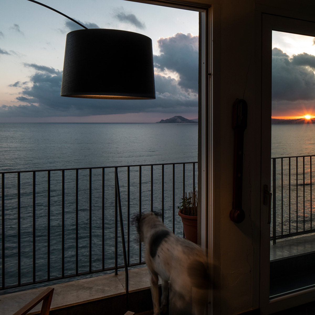 Foscarini Twiggy MyLight LED Terra, nero (schwarz)