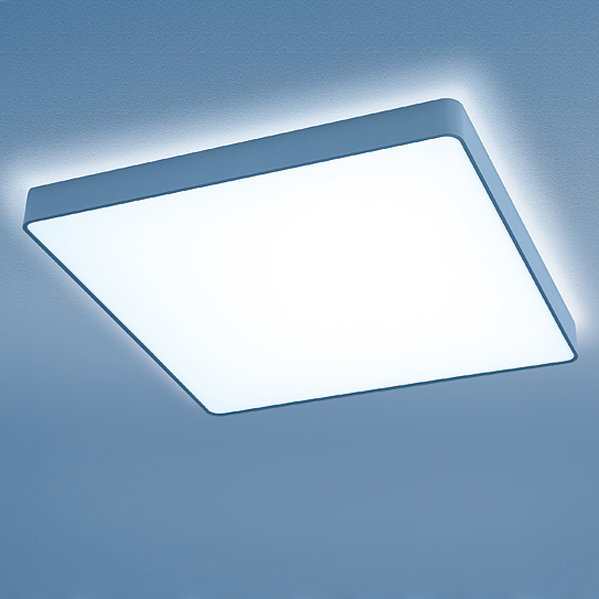 Lightnet Caleo-X2 Wand- / Deckenleuchte, Opal, Silber matt