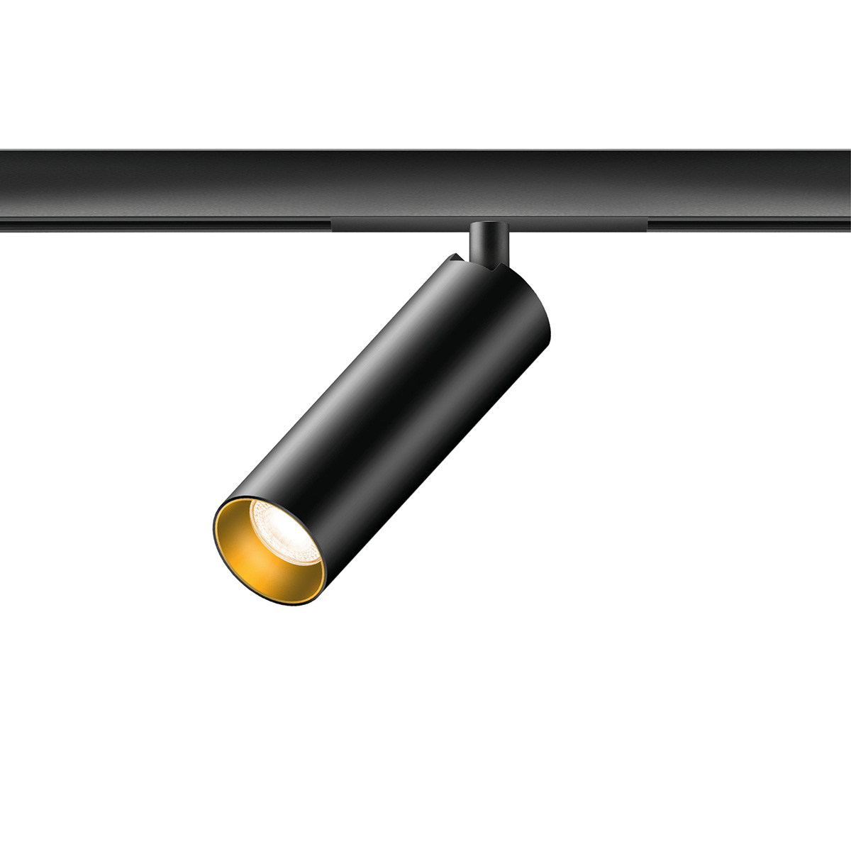 schwarz / Gold
