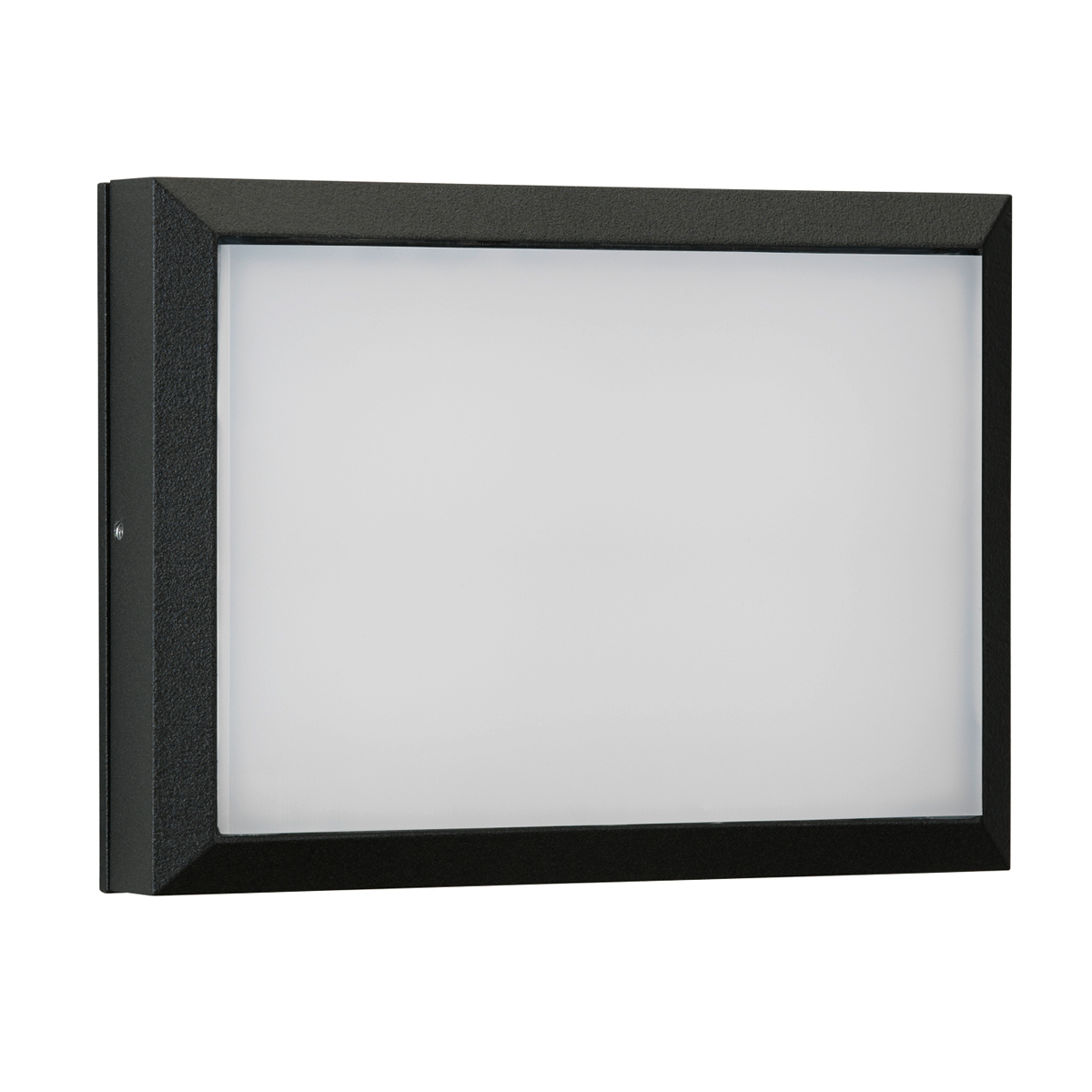 Albert Leuchten 6403 Wand- / Deckenleuchte, schwarz