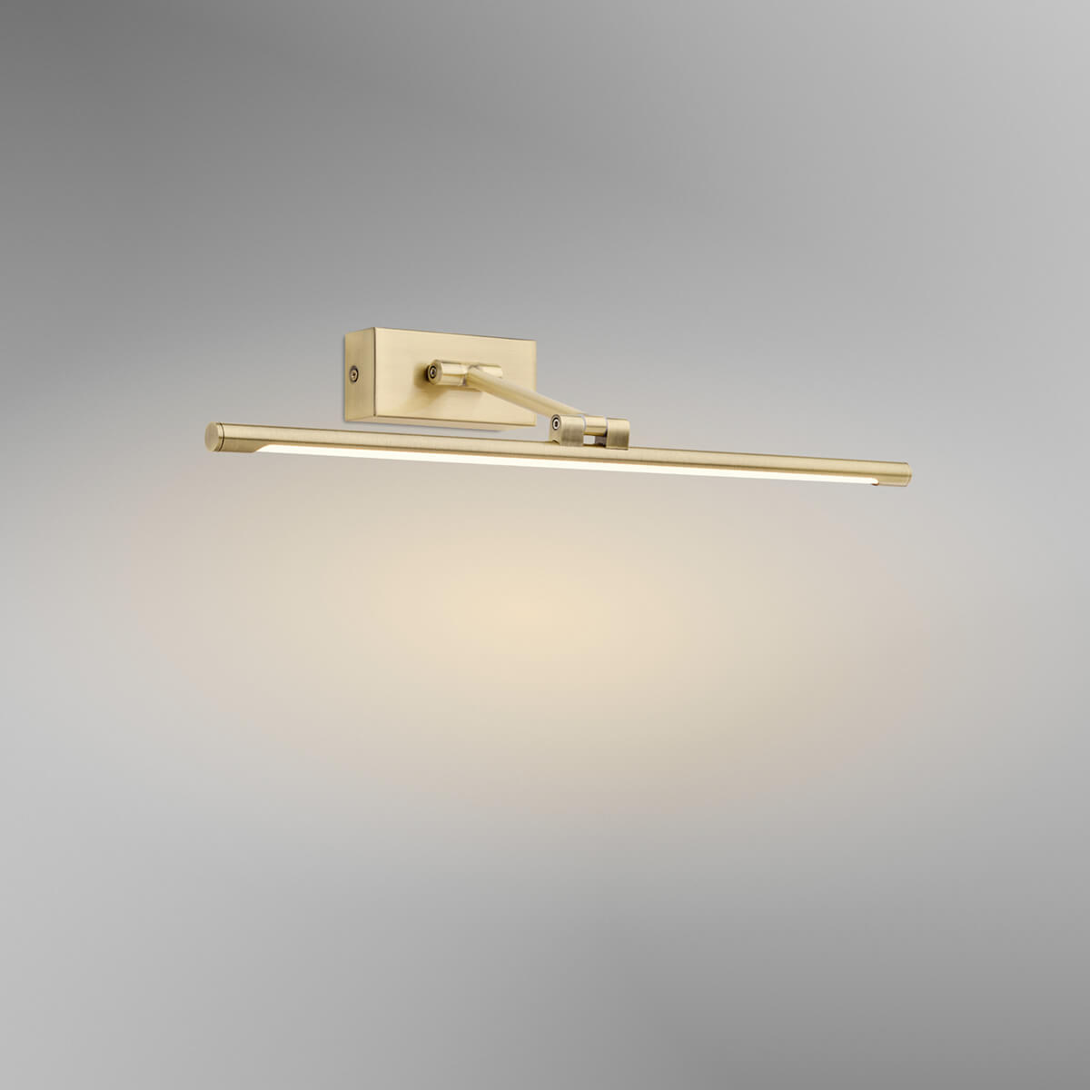 Picture LED Bilderleuchte