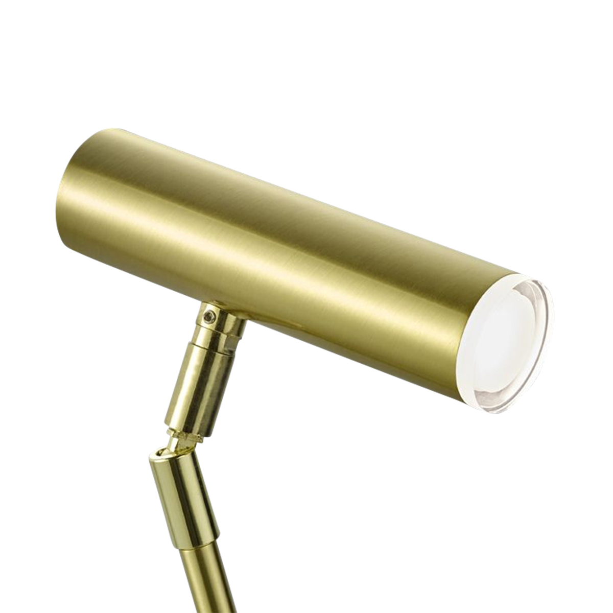 HELL Tom LED Tischleuchte, Messing matt / blank, Leuchtenkopf