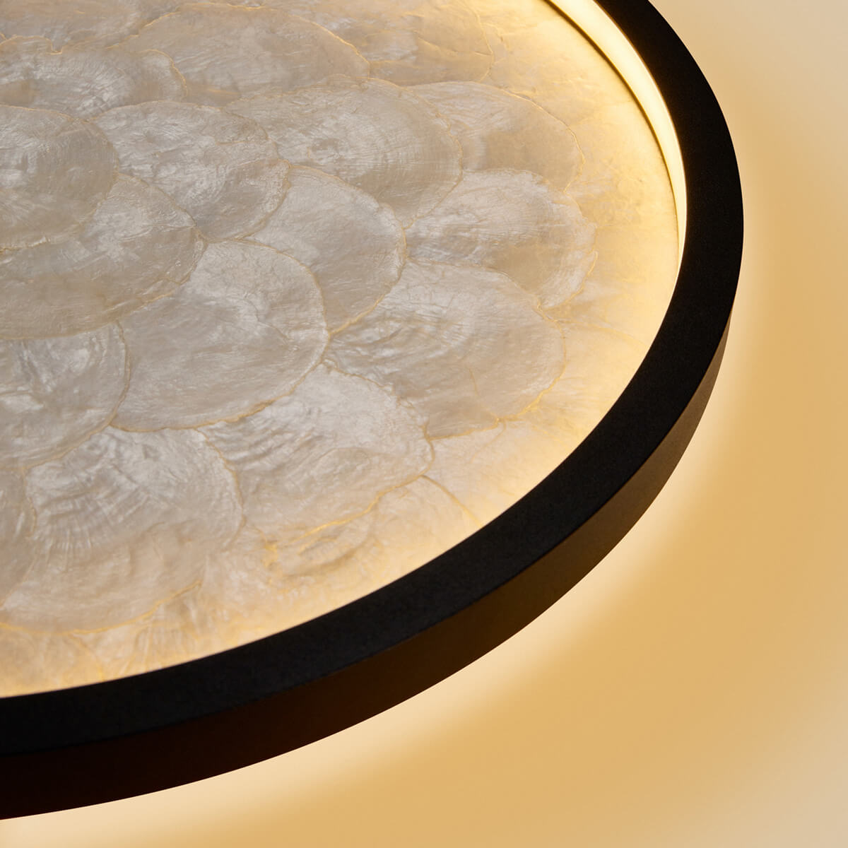 Shell LED Wand- / Deckenleuchte
