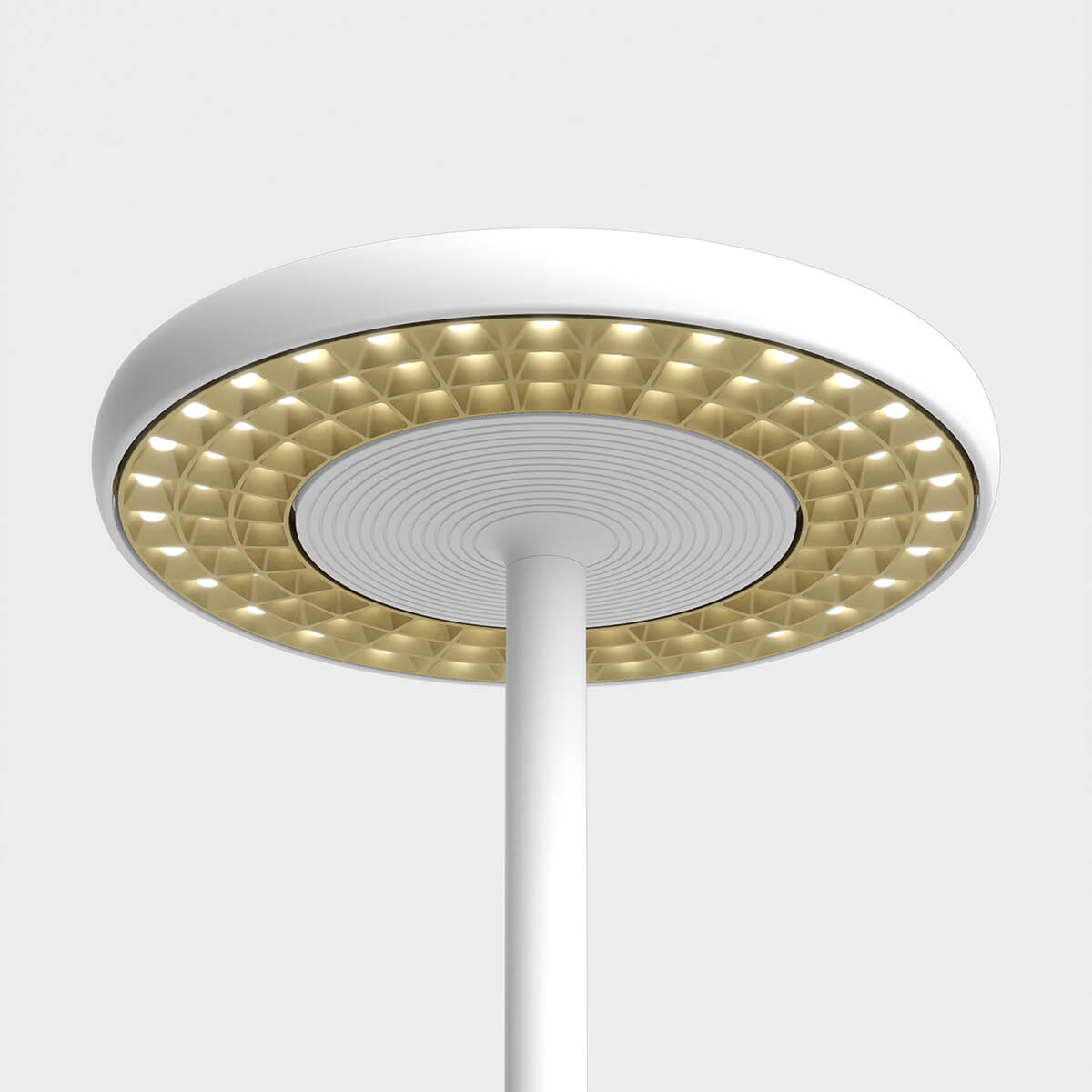 Structure: white matt, louvre: gold matt
